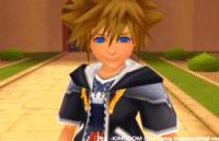 dingo,sora et donald